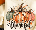 Thankful Pumpkins Tee